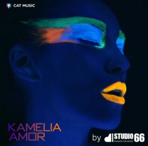 Kamelia - Amor [Remix] (2016)