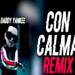 Daddy Yankee, Snow - Con Calma ( Flyers Remix ) (2019)