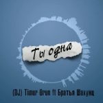 DJ Timur Orun ft. Братья Шахунц - Ты Oдна (2017)