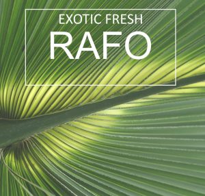 RAFO - Exotic Fresh (Original Mix) (2017)
