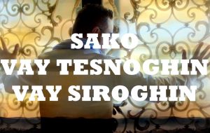 SAKO - Vay Tesnoghin, Vay Siroghin (2017)