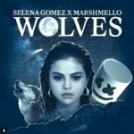 Selena Gomez, Marshmello - Wolves (2017)