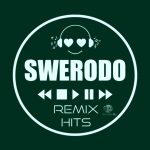 ZIYDDIN - Все равно люби ( SWERODO Remix ) (2021)